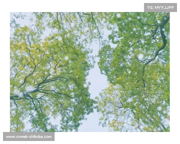 新疆男篮组建专业球探团队,避免重蹈换援覆辙 新疆男篮组建专业球探团队,避免重蹈换援覆辙