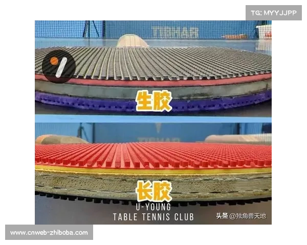 技术流派的守夜人：直板、削球、长胶如何丰富乒乓球战术体系